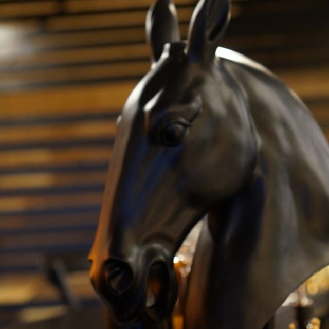 Le cheval Zorg